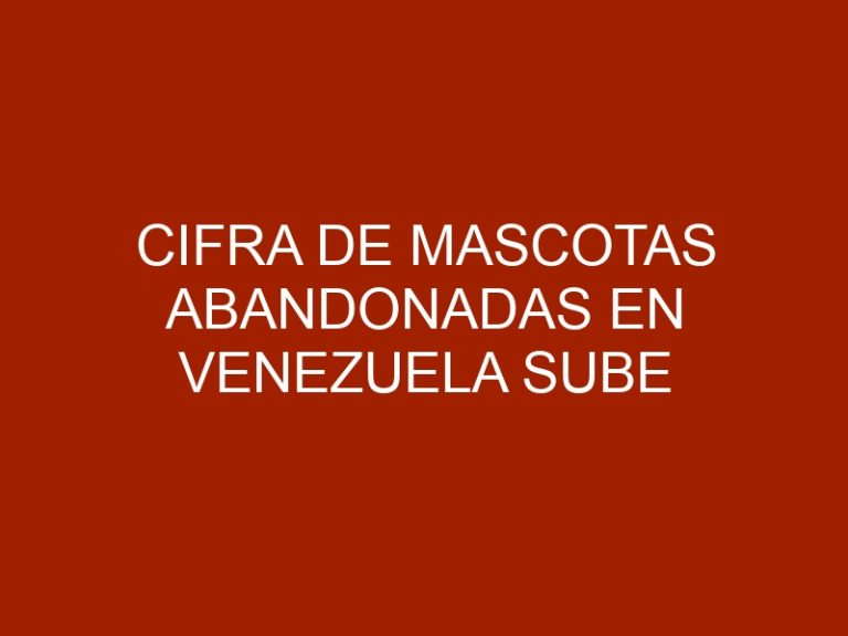 Cifra de mascotas abandonadas en Venezuela sube ante la aguda crisis