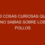 10 cosas curiosas que no sabías sobre los pollos