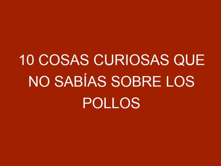 10 cosas curiosas que no sabías sobre los pollos