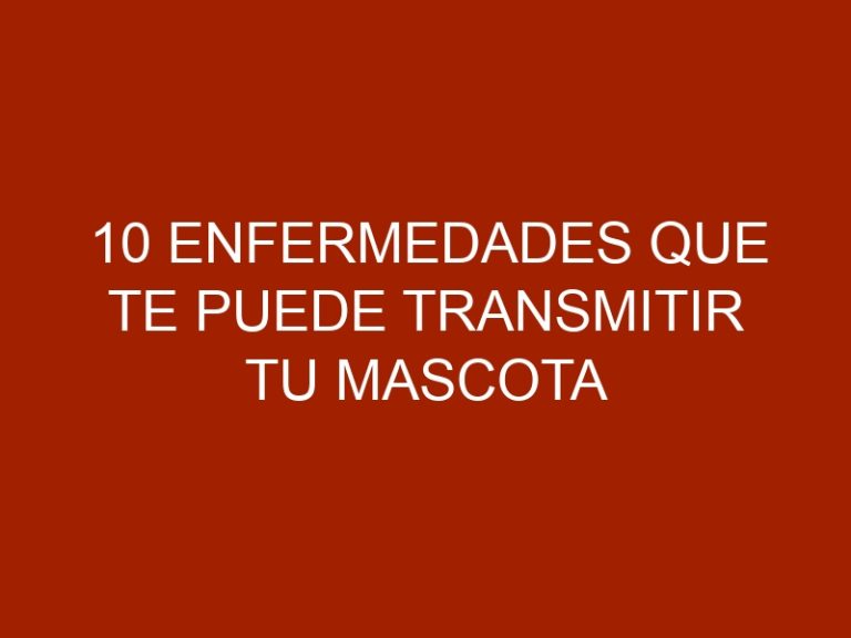 10 enfermedades que te puede transmitir tu mascota