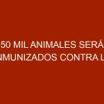 150 mil animales serán inmunizados contra la fiebre aftosa en Portuguesa