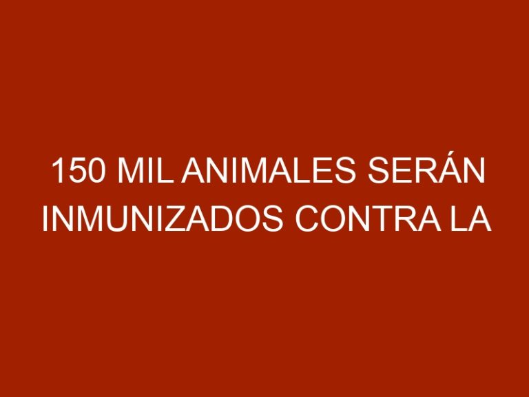 150 mil animales serán inmunizados contra la fiebre aftosa en Portuguesa