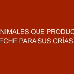 5 animales que producen leche para sus crías y nunca te lo hubieras imaginado
