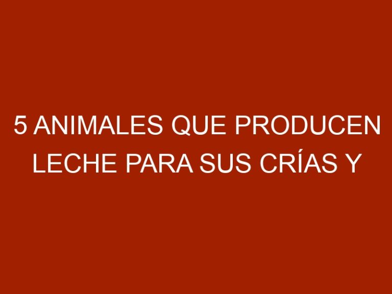 5 animales que producen leche para sus crías y nunca te lo hubieras imaginado