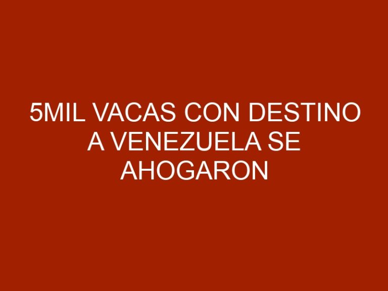 5mil vacas con destino a Venezuela se ahogaron tras hundimiento del barco