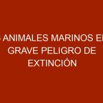 6 animales marinos en grave peligro de extinción
