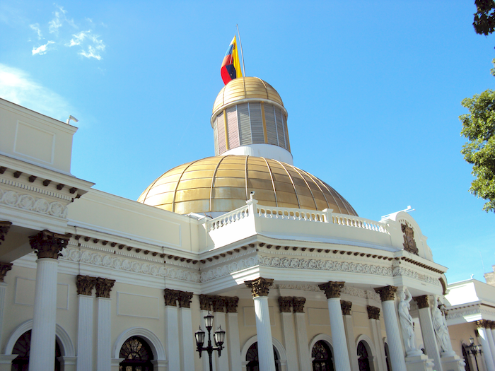 Proponen en la Asamblea Nacional la «Ley Mariposa» para elevar las penas contra el maltrato animal en Venezuela