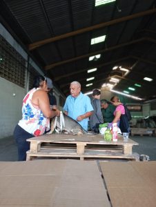Avisa jornada en cagua 2025 (10)