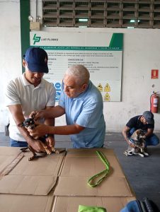 Avisa jornada en cagua 2025 (16)