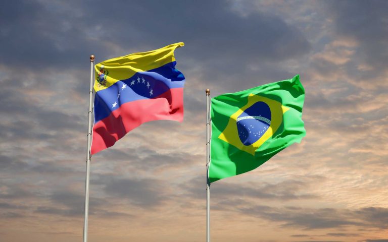 Refuerzan controles fronterizos para evitar ingreso de Influenza Aviar desde Brasil