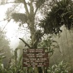 Parque Henri Pittier: 88 años respirando en Aragua