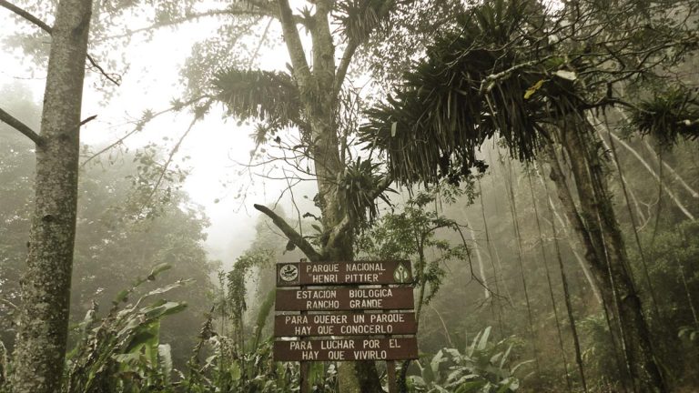 Parque Henri Pittier: 88 años respirando en Aragua
