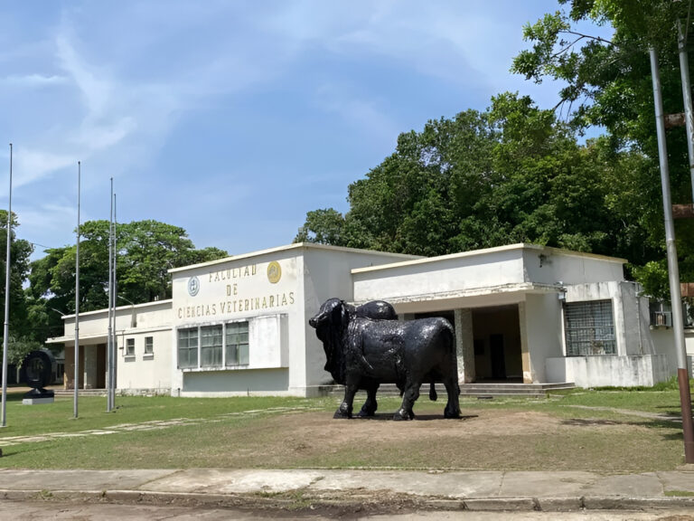 FCV-UCV emite comunicado sobre protocolos de bioseguridad y uso de sus instalaciones