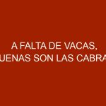 A falta de vacas, buenas son las cabras