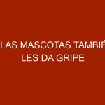 A las mascotas también les da gripe