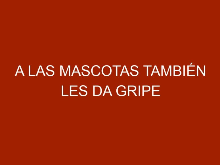 A las mascotas también les da gripe