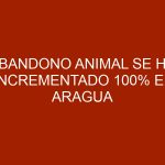 Abandono animal se ha incrementado 100% en Aragua