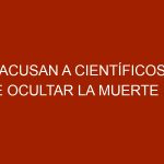 Acusan a científicos de ocultar la muerte de más de 330 ballenas