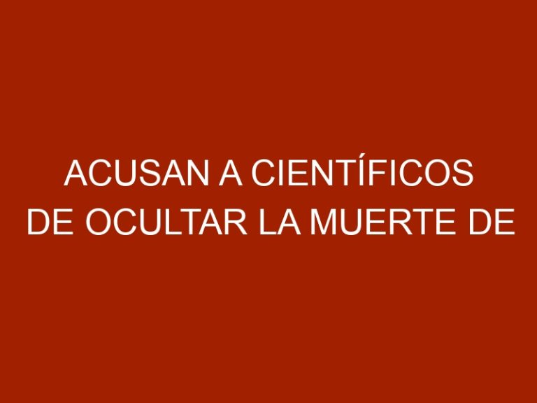 Acusan a científicos de ocultar la muerte de más de 330 ballenas