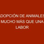 Adopción de animales: mucho más que una labor social