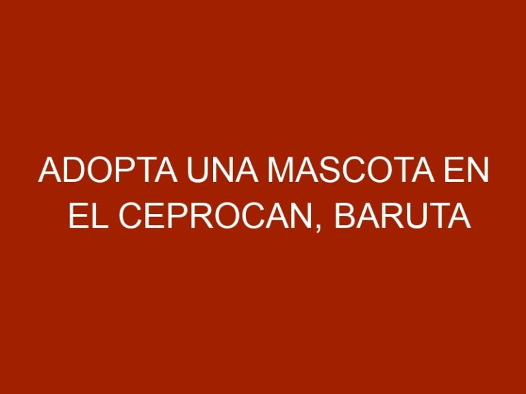 Adopta una mascota en el Ceprocan, Baruta