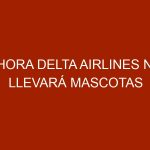 Ahora Delta Airlines no llevará mascotas