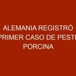 Alemania registró primer caso de peste porcina africana