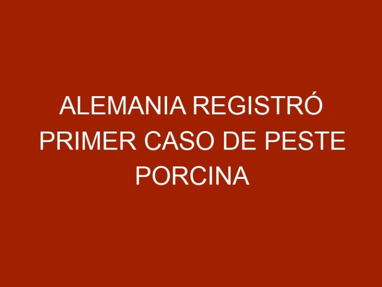 Alemania registró primer caso de peste porcina africana