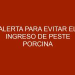 Alerta para evitar el ingreso de Peste Porcina Africana a Venezuela
