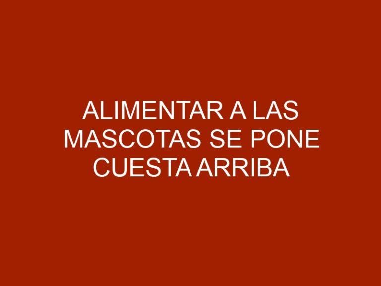 Alimentar a las mascotas se pone cuesta arriba