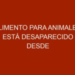 Alimento para animales está desaparecido desde principios de año