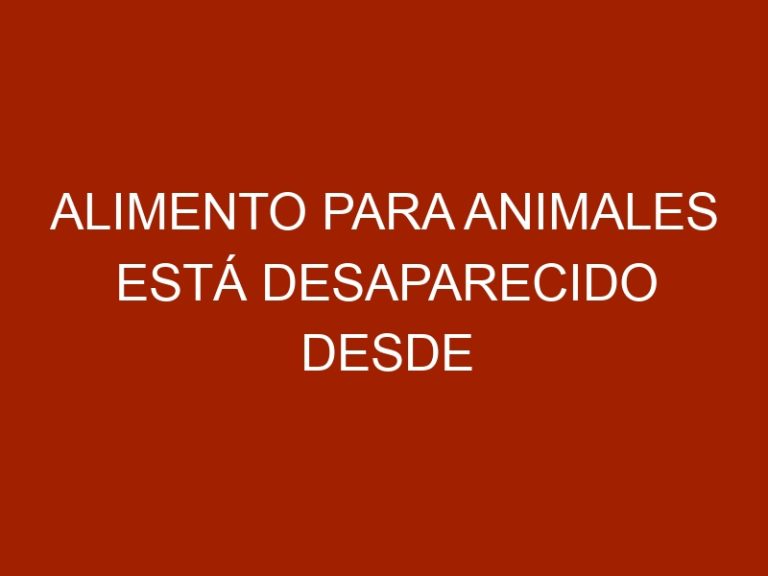 Alimento para animales está desaparecido desde principios de año