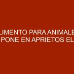 Alimento para animales pone en aprietos el bolsillo de los guayaneses