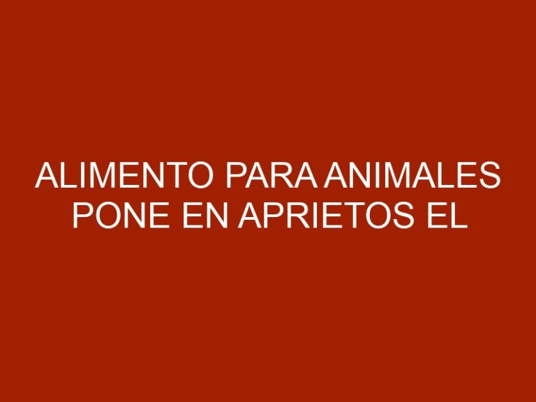 Alimento para animales pone en aprietos el bolsillo de los guayaneses