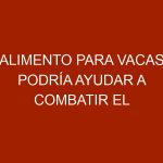 Alimento para vacas podría ayudar a combatir el cambio climático