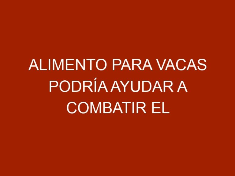 Alimento para vacas podría ayudar a combatir el cambio climático