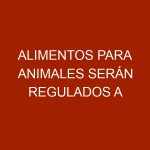 Alimentos para animales serán regulados a precios justos