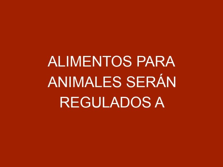 Alimentos para animales serán regulados a precios justos