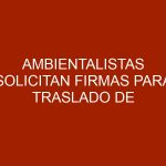 Ambientalistas solicitan firmas para traslado de Ruperta a Brasil