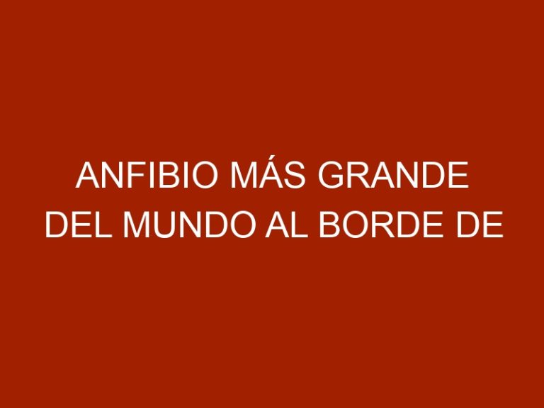 Anfibio más grande del mundo al borde de extinguirse por ser un manjar