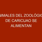 Animales del zoológico de Caricuao se alimentan de auyama y mango