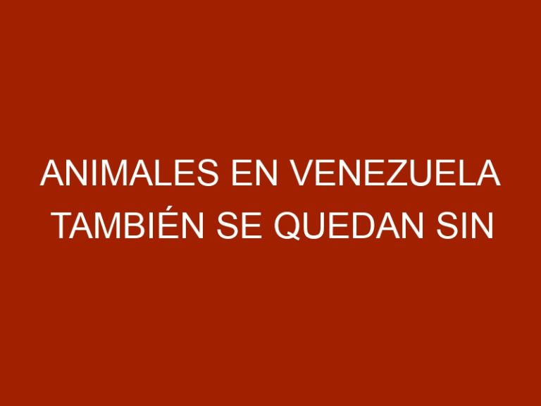 Animales en Venezuela también se quedan sin medicinas
