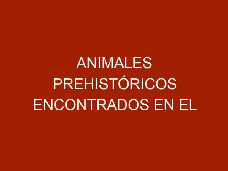 Animales prehistóricos encontrados en el subsuelo venezolano