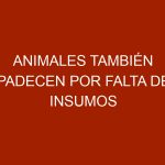 Animales también padecen por falta de insumos importados