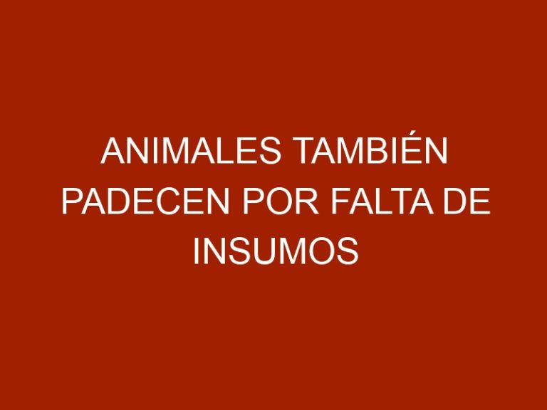 Animales también padecen por falta de insumos importados