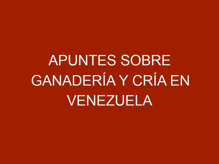 Apuntes sobre ganadería y cría en Venezuela