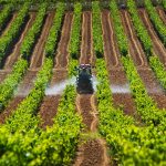 BOLPRIAVEN PRESENTA «PROVISIÓN DE LIQUIDEZ AGRÍCOLA», UN NUEVO INSTRUMENTO PARA IMPULSAR EL AGRONEGOCIO NACIONAL