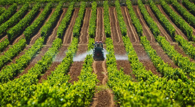 BOLPRIAVEN PRESENTA «PROVISIÓN DE LIQUIDEZ AGRÍCOLA», UN NUEVO INSTRUMENTO PARA IMPULSAR EL AGRONEGOCIO NACIONAL