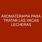Aromaterapia para tratar las vacas lecheras