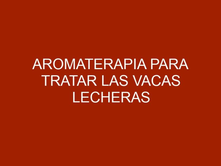 Aromaterapia para tratar las vacas lecheras